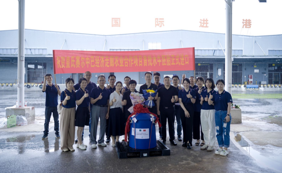 重磅！全國首批5000枚進口巴基斯坦優(yōu)質(zhì)奶水牛胚胎入境，第一時間落戶皇氏集團投入奶水牛改良繁育生產(chǎn)